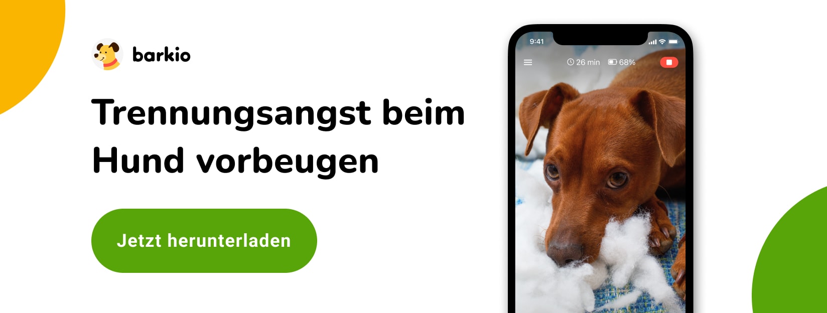Barkio app